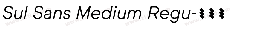 Sul Sans Medium Regu字体转换